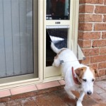 Cat Doors For Sliding Glass Doors: A Comprehensive Guide