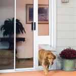 Everything You Need To Know About Sliding Glass Door Insert Doggy Doors