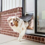 The Benefits Of Installing A Glass Patio Door With Dog Door